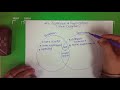 Repetition and Replication in Science
