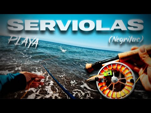 El PEZ más INESPERADO para mí desde PLAYA a MOSCA | Lured Vlog 366 Fly
