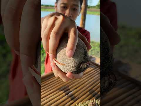 ผลไม้แปลก ใครรู้บ้างผลอะไร | เอิร์ธสดชื่น ปลูกสวนป่าผลไม้อินทรีย์ลดโลกร้อน