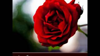 MAMA SONG ORGINAL by shain