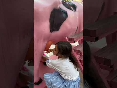 aslı hira videoları abone olmayı unutmayın