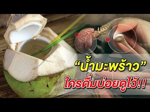 ถ้า “ดื่มน้ำมะพร้าวทุกวัน” จะเกิดอะไรขึ้น ร่างกายจะเป็นยังไง สุขภาพจะดีหรือร้าย มาดูกัน !!