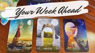The Next 7 Days 🌙 pick a card