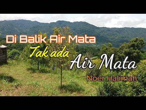 DI BALIK AIR MATA TAK ADA AIR MATA - Noer Halimah