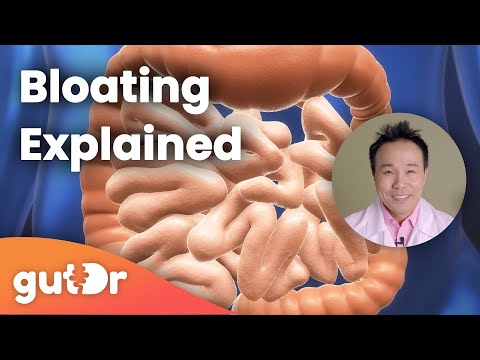 Bloating The Gutdr Explains 3D Gut Animation