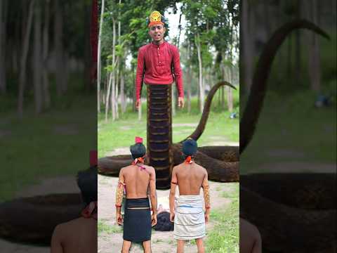 নাগরাজের ভুলে সর্বনাশ! পার্ট-২ 🧞♂️ | Naagin Vs Nagraj Part-2😱 #2starteam #comedy