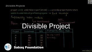Divisible Project