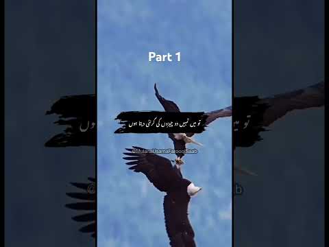 Allah Ka Shukar Ada Karne Ka Wazifa | Maulana Usama Farooqi Sahib | Urdu Bayan