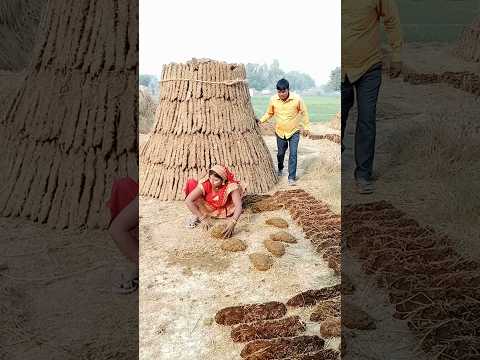 कैसे सब बिगड़ गया #youtubeshorts #comedy #funny