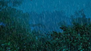 SOM DE CHUVA DE MADRUGADA NA FLORESTA ENEVOADA