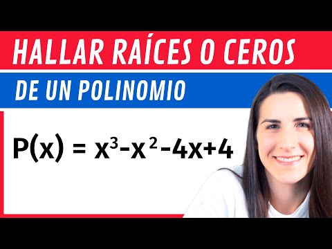 Hallar RAÍCES ENTERAS o CEROS de un Polinomio por RUFFINI 🟥