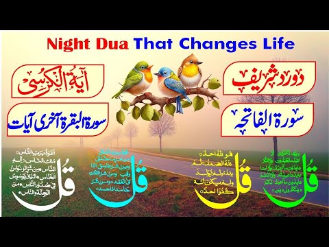 Night Azkar | Darood Sharif | Surah Fatiha | Ayatul Kursi | 4 Qul Surah | Ep 608