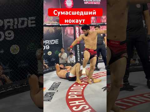 Горилла Сумасшедший нокаут... #mma #muradaov #ufc #файтинг #мма #харидуз #кунфу #бокс #бои #юфс