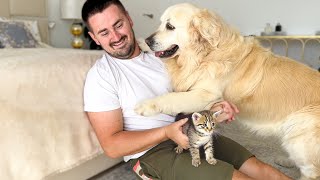 Jealous Dog ATTACKS Me for Petting Kittens