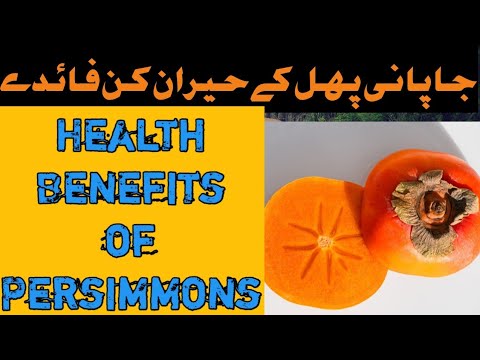 Health Benefits of Persimmons | Nutritional Powerhouse | Japani Phal k Faidy