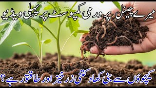 Vermicompost Uses for Plants | Benefits of Vermicompost in Gardening