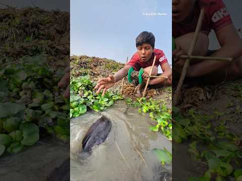 Unbelievable Fishing Techinques 😱 challenge fishing video 2025 ✅️ #fishtrap #fishing #fish #shorts