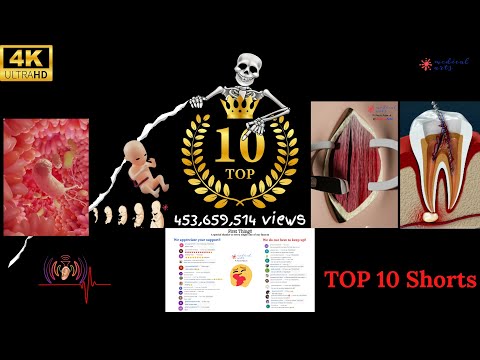 Top 10 Medical Arts ASMR Shorts - 3D Medical Animations