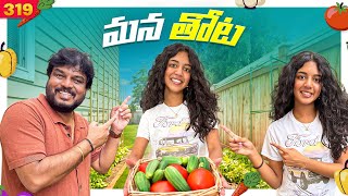 Our Vegetable Garden 🥰 #vaasfamily  #trending #shorts #telugu 