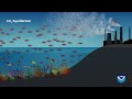 Ocean CO2 Uptake and Climate Impact