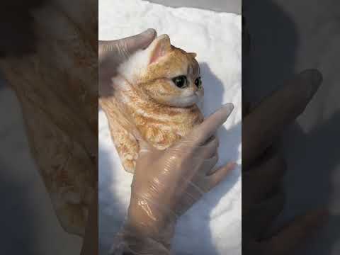 How rubber toys are made in factories #shorts #toys #cat