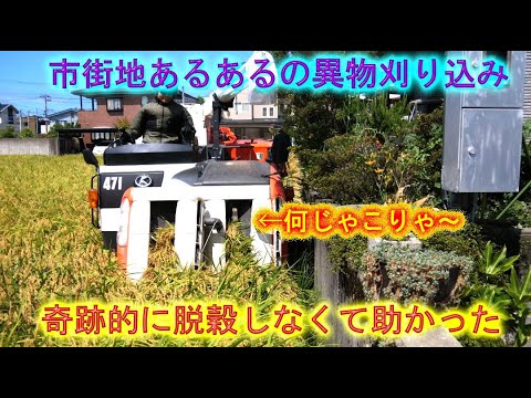 壁際だらけの作業請負めみづほ稲刈り完了・サクセスナイトの謎の故障で肝冷やした・2024