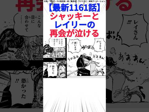 【最新1161話】シャッキーとレイリーの再会が泣ける