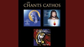 Frisina: Anima Christi