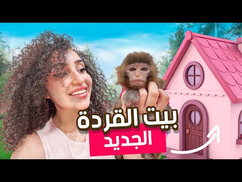 عملت بيت جديد للقردة 😍