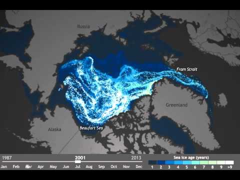   Degelo no Ártico: Vídeo de apenas um minuto deixa perplexos os climatologistas