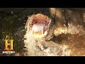 Alligator Hunting Season Recap