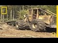 Sustainable Forestry Practices and Concepts