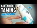 Bird Care and Behavior Questions
