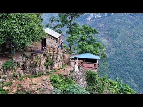 贵州大山悬崖上发现一栋房子，一小哥竟隐居在这养山羊十多年，与世无争｜A man in Guizhou actually raises goats on a cliff, it's so scary