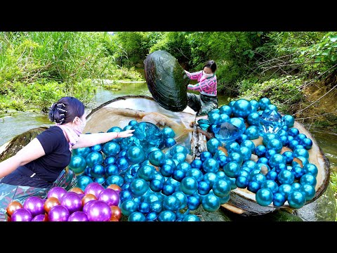 😱The girl opened the giant clam, which was filled with enchanting sky blue pearls of priceless value