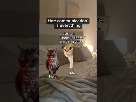 Also her when she says communication is everything #catmemes #relatable #shorts