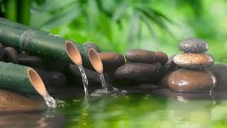 Healing Piano Music and Bamboo Water Fountain 🌿 Relaxing Music for Sleep, Meditation, Massage & Yoga