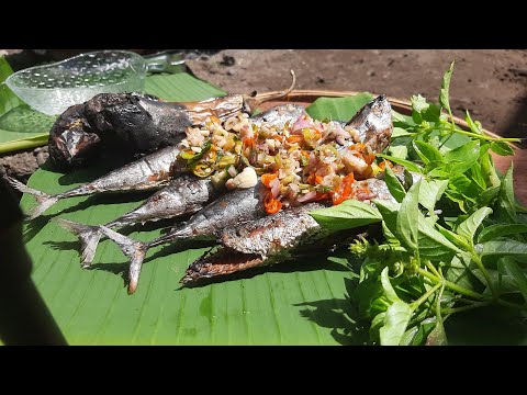 update Video Terbaru | Inspirasi "Panen Sayuran Organik Dan masak Langsung di Kebun"