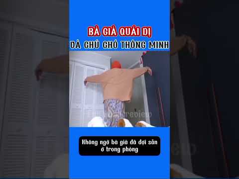 Bà Già Quái Dị Và Những Chú Chó Thông Minh