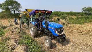 Sonalika di 42 Tractor And Surjeet Thresher 4 Fan 750 RPM in a Short Time Tha Paddy Cutting ||