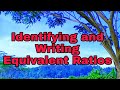 Understanding Ratios and Proportions