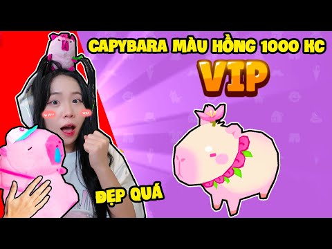 SAMMY TIÊU 1000 KIM CƯƠNG LẬT ĐƯỢC CAPYBARA MÀU HỒNG SIÊU HIẾM TRONG PLAY TOGERTHER