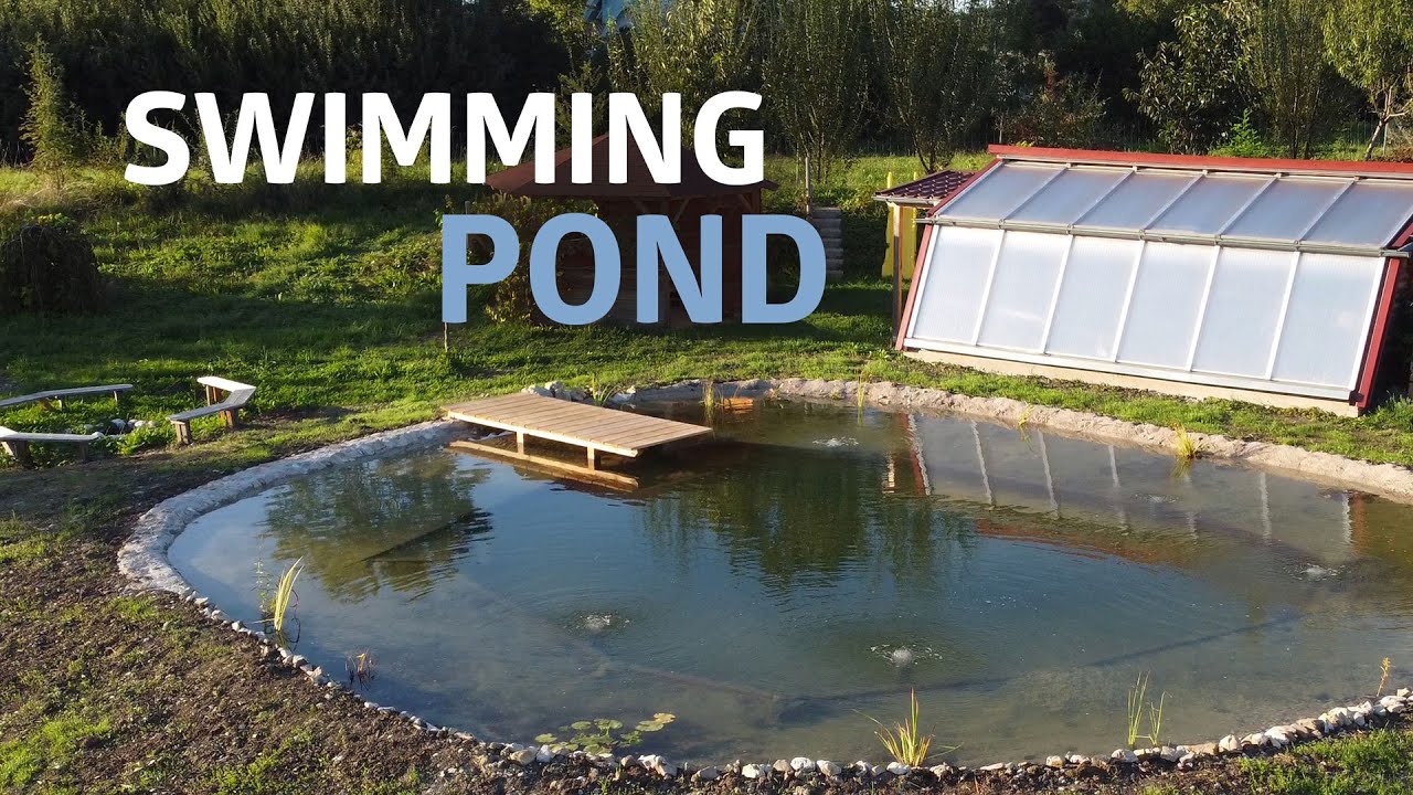 Building a Natural Swimming Pond (And Digging it by Hand)