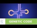 Genetic Mutations and Their Effects