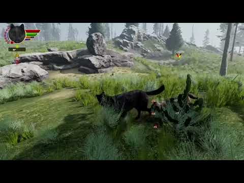 Open Trailer Video thumbnail