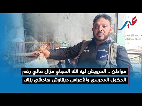 مواطن .. الدرويش ليه الله الدجاج مزال غالي رغم الدخول المدرسي والأعراس مبقاوش هادشي بزاف