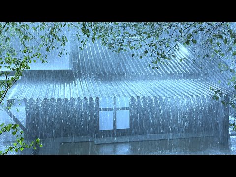 Relax with Powerful Rain & Terrifying Thunder Sounds on Corrugated Iron Roof in Creepy Night Forest
