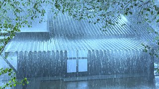 Relax with Powerful Rain & Terrifying Thunder Sounds on Corrugated Iron Roof in Creepy Night Forest