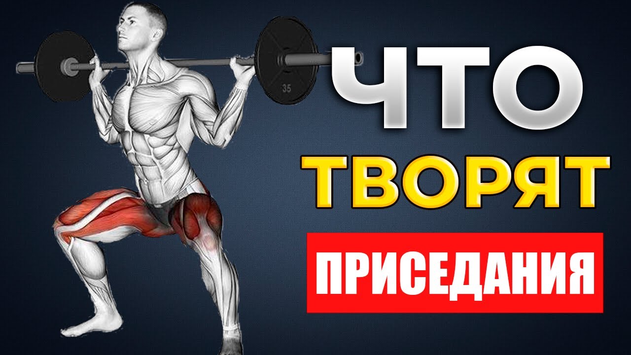 Что Будет с Вашим Телом Если Делать Приседания со Штангой