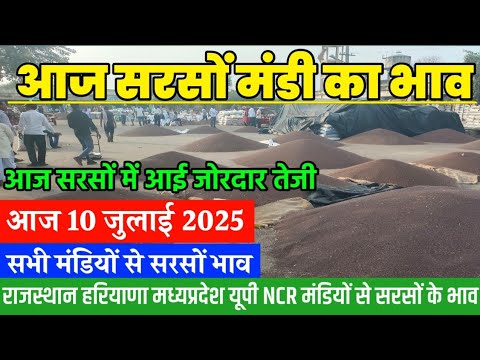 Sarso ka bhav, Aaj 10 July 2025 sarso me aai jordar teji, Aaj Sarso ke bhav, mustard prices today,